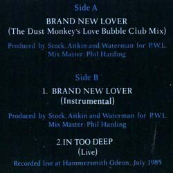画像2: DEAD OR ALIVE / BRAND NEW LOVER (英原盤/12"MIX) [◎中古レア盤◎お宝！本物の原盤！「IN TOO DEEP」のライヴMIX入り！]