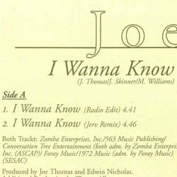 画像2: JOE / I WANNA KNOW (欧州原盤/REMIX) [◎中古レア盤◎激レア！飾りたいジャケ！本物原盤！ヨーロッパMIX！]