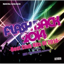 画像1: DJ DDT-TROPICANA / FLASH BACK 2014 (全50曲) [■国内定価■今年の総まとめ！これ1枚でOK！]