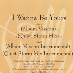 画像2: TRELLINI / I WANNA BE YOURS (4VER) [◎中古レア盤◎お宝！美A級品！ジャケ付正規！「OH HONEY」使いR&B！]