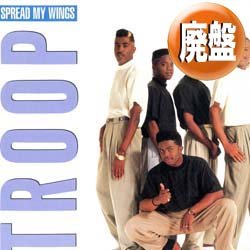 画像1: TROOP / SPREAD MY WINGS (REMIX) [■廃盤■お宝！人気ジャケ付！美メロ・ニュージャック最高峰！]