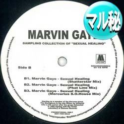 画像1: MARVIN GAYE / SEXUAL HEALING (マル秘MIX) [◎中古レア盤◎激レア！極少量生産！他と違うマル秘MIX！]