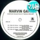 MARVIN GAYE / SEXUAL HEALING (マル秘MIX) [◎中古レア盤◎激レア！極少量生産！他と違うマル秘MIX！]