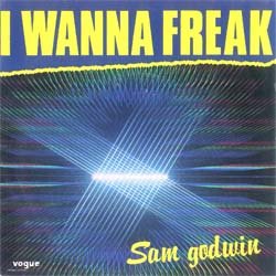 画像2: SAM GODWIN / I WANNA FREAK (7インチMIX) [◎中古レア盤◎超希少！仏盤7インチのみ！おしゃれフリーク！]