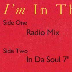 画像3: CE CE PENISTON / I'M IN THE MOOD (7インチMIX) [◎中古レア盤◎お宝！英国版ジャケ！7インチMIX！]