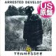ARRESTED DEVELOPMENT / TENNESSEE (米原盤/REMIX) [◎中古レア盤◎お宝！シュリンク残！本物のUS原盤！プリンス使い！]