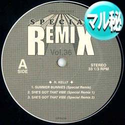 画像1: R.KELLY / SUMMER BUNNIES & SHE'S GOT THAT VIBE (マル秘MIX) [■廃盤■激レア！少量生産！幻のマル秘MIX！]