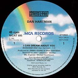 画像2: DAN HARTMAN / I CAN DREAM ABOUT YOU (英原盤/12"MIX) [◎中古レア盤◎お宝！貴重な別ジャケ！ロングMIX！]