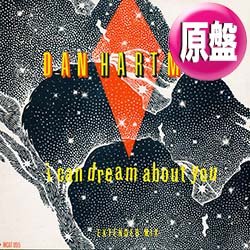 画像1: DAN HARTMAN / I CAN DREAM ABOUT YOU (英原盤/12"MIX) [◎中古レア盤◎お宝！貴重な別ジャケ！ロングMIX！]