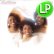 画像1: EMOTIONS / BEST OF MY LOVE (LP/全9曲) [◎中古レア盤◎お宝！音質抜群の正規！レディーソウル名盤！] (1)