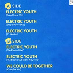 画像2: DEBBIE GIBSON / ELECTRIC YOUTH (米原盤/12"MIX) [◎中古レア盤◎お宝！シュリンク付！美A級品！可愛いDISCO定番！] 