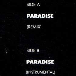 画像2: SADE / PARADISE (7インチMIX) [◎中古レア盤◎お宝！麦わら帽ジャケ！必殺「インストMIX」！]