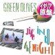 GREEN OLIVES / JIVE INTO THE NIGHT (伊原盤/4VER) [◎中古レア盤◎激レア！別ジャケのイタリア版！ウィンク原曲！]