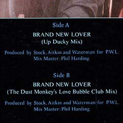 画像2: DEAD OR ALIVE / ブランド・ニュー・ラバー (原盤/UP DUCKY MIX) [◎中古レア盤◎お宝！日本版帯付！バブル代名詞！80's大HIT！]