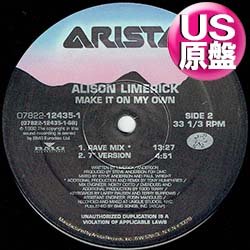 画像1: ALISON LIMERICK / MAKE IT ON MY OWN (米原盤/4VER) [◎中古レア盤◎お宝！コレはUS原盤！7"MIX入り！荻野目洋子！]