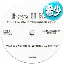 画像1: BOYZ II MEN feat MC LYTE / 風のシルエット (1VER) [■廃盤■お宝！少量生産！海外高値！貴重12インチ版！]