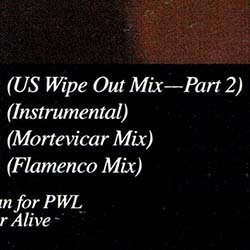 画像2: DEAD OR ALIVE / SOMETHING IN MY HOUSE (米原盤/REMIX) [◎中古レア盤◎お宝！希少なUS原盤！必殺「WIPE OUT MIX」入り！]