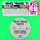YING YANG TWINS feat PITBULL / SHAKE (米原盤/REMIX) [◎中古レア盤◎お宝！コレは原盤！必殺「ディン・ダダ」使い！]
