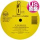 CHANTAY SAVAGE / IF YOU BELIEVE (米原盤/12"MIX) [◎中古レア盤◎お宝！お探しのR&B版がコレ！盛り上げ曲！]