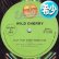 画像1: WILD CHERRY & THE S.O.S. BAND / PLAY THAT FUNKY MUSIC (全3曲) [◎中古レア盤◎お宝！最強豪華3曲入り版！] (1)