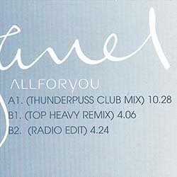 画像2: JANET JACKSON / ALL FOR YOU (欧州原盤/REMIX) [◎中古レア盤◎お宝！SEXYジャケ原盤！「GLOW OF LOVE」使い！]