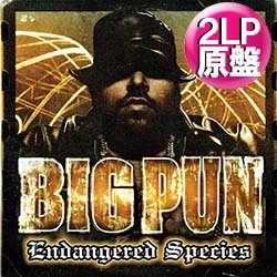 画像1: BIG PUN / ENDANGERED SPECIES (2LP原盤/全24曲) [◎中古レア盤◎激レア！当時の原盤！2枚組ベスト集！参加曲 & 未発曲も！]