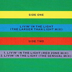 画像2: CARON WHEELER / LIVIN' IN THE LIGHT (英原盤/別MIX) [◎中古レア盤◎激レア！珍しい緑ジャケ原盤！別REMIX！]