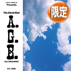 画像1: ELECTRIFIED A.G.B. / FLY AWAY (2VER) [■限定■お宝！オリジは25万！幻のディスコFUNK！]