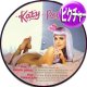 KATY PERRY feat SNOOP DOGG / CALIFORNIA GURLS (ピクチャー盤/REMIX) [◎中古レア盤◎鬼レア！激少量生産！特大ヒット！]