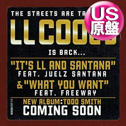 画像1: L.L. COOL J / WHAT YOU WANT (米原盤/全2曲) [◎中古レア盤◎お宝！シュリンク付原盤！疾走フロアキラー！]