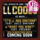 L.L. COOL J / WHAT YOU WANT (米原盤/全2曲) [◎中古レア盤◎お宝！シュリンク付原盤！疾走フロアキラー！]