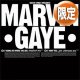 MARVIN GAYE / I WANNA BE WHERE YOU ARE & I WANT YOU (未発VER/全2曲) [■限定■祝！ボートラが初12"化！超豪華2曲！]