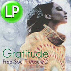 画像1: V.A / GRATITUDE 〜 FREE SOUL TREASURE 2 (LP/全10曲) [■LP■橋本徹30周年記念！究極コンピ第2弾！サバービア！]