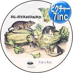 画像1: Hi-STANDARD / I'M A RAT (7インチ) [■限定■お宝直行！ハイスタ新曲がピクチャー7"で！追悼・恒岡章！]