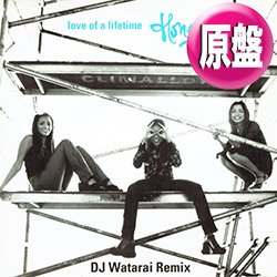 画像1: HONEYZ / LOVE OF A LIFETIME (原盤/ジャパンREMIX) [◎中古レア盤◎お宝！日本版ジャケ！ジャパンREMIX！胸キュンR&B傑作！]