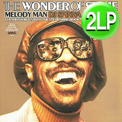 画像1: V.A / THE WONDER OF STEVIE (2LP原盤/全10曲) [◎中古レア盤◎激レア！少量生産！入手困難2枚組！スティービー関連作品集！]