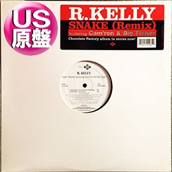 画像1: R.KELLY feat CAM'RON / SNAKE (米原盤/REMIX) [◎中古レア盤◎お宝！本物のUS原盤！2000年以降の人気レコード！]
