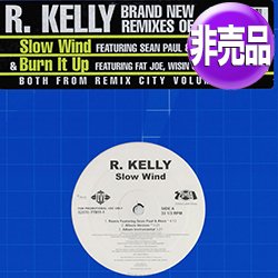 画像1: R.KELLY feat AKON, SEAN PAUL / SLOW WIND & BURN IT UP (USプロモ/REMIX) [◎中古レア盤◎お宝！本物のUS原盤！2000年以降の人気レコード！]