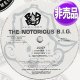THE NOTORIOUS B.I.G. / JUICY & NIGGAS BLEED (USプロモ/全2曲) [◎中古レア盤◎激レア！マニア品！別内容プロモ！]