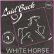 画像2: LAID BACK / WHITE HORSE (7インチMIX) [◎中古レア盤◎激レア！ドイツ版ジャケ7"MIX！ロフト古典！] (2)