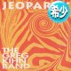 GREG KIHN BAND / JEOPARDY + 1曲 (12"MIX/全2曲) [◎中古レア盤◎お宝！少量生産版！希少ジャケ！ダンクラ鉄板2曲！]