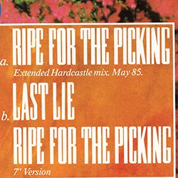 画像2: LW5 / RIPE FOR THE PICKING (英原盤/REMIX) [◎中古レア盤◎お宝！貴重な美ジャケ！極上ミッドダンクラ！隠れ最高峰の1つ！]