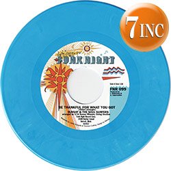 画像1: SOUL SURFERS / BE THANKFUL FOR WHAT YOU GOT (7インチ) [■廃盤■激レア！少量生産ブルーバイナル7"！極上カバー！]