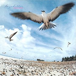 画像2: 高中正義 / SEYCHELLES (重量盤LP/全8曲) [■予約■祝復刻！高音質ブルーカラー重量盤！ソロ1st名盤！]
