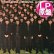 画像1: YMO (細野晴臣/坂本龍一/高橋幸宏) / マルティプライズ (LP原盤/全8曲) [◎中古レア盤◎お宝！ポスター付！当時の原盤！ベスト内容！] (1)