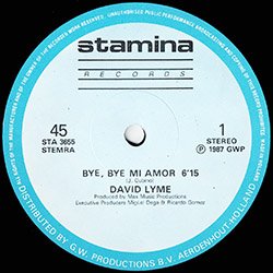 画像2: DAVID LYME / BYE BYE MI AMOR (和蘭原盤/12"MIX) [◎中古レア盤◎激レア！オランダ版ジャケ！哀愁ハイエナ！]