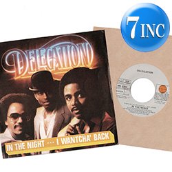 画像1: DELEGATION / IN THE NIGHT & I WANTCHA BACK (7インチ) [◎中古レア盤◎お宝！美A級品！イタリア版ジャケ7"！豪華2曲！]