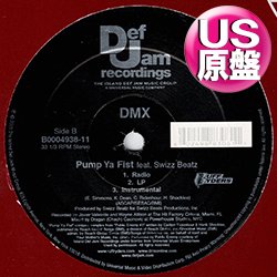 画像1: DMX feat SWIZZ BEATZ / PUMP YA FIST (米原盤/全2曲) [◎中古レア盤◎お宝！本物の原盤！「PUBLIC ENEMY＃1」使い！]