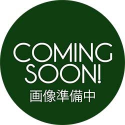 画像1: RYUSENKEI / MELLOW RYUSENKEI - TIME MACHINE LOVE 2003-25 (LP/全8曲) [■予約■お宝直行！ベストアルバム！メロウ編！]