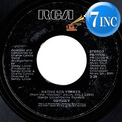 画像1: ODYSSEY / NATIVE NEW YORKER (7インチMIX) [◎中古レア盤◎お宝！本物のUS原盤7"MIX！朝方名曲！]